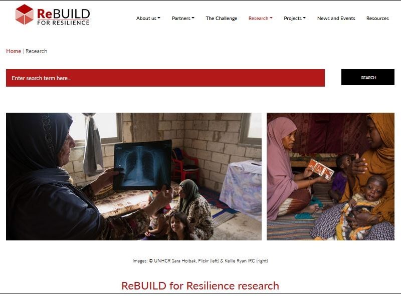 Screengrab of the top of the research page of the ReBUILD for Resilience website