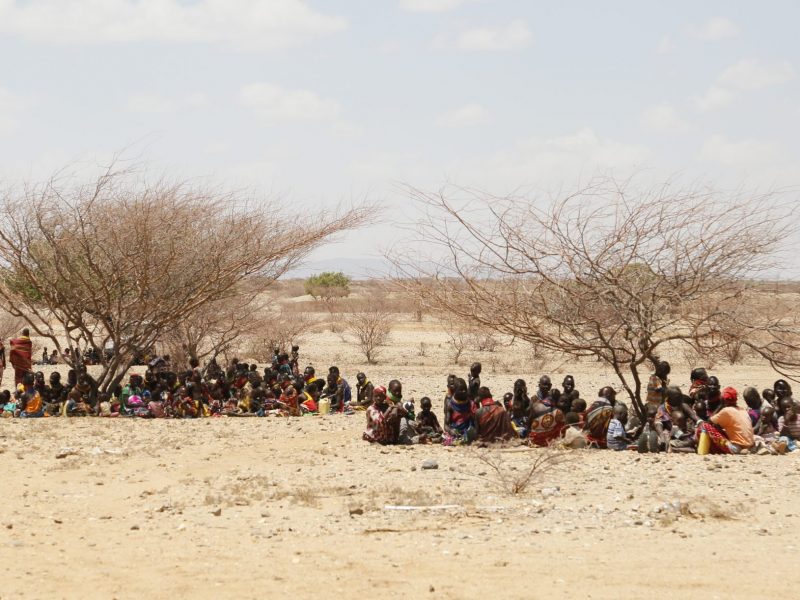 Two bare trees in an arid landscape provide little shelter for two large groups women and children sitting on the group
