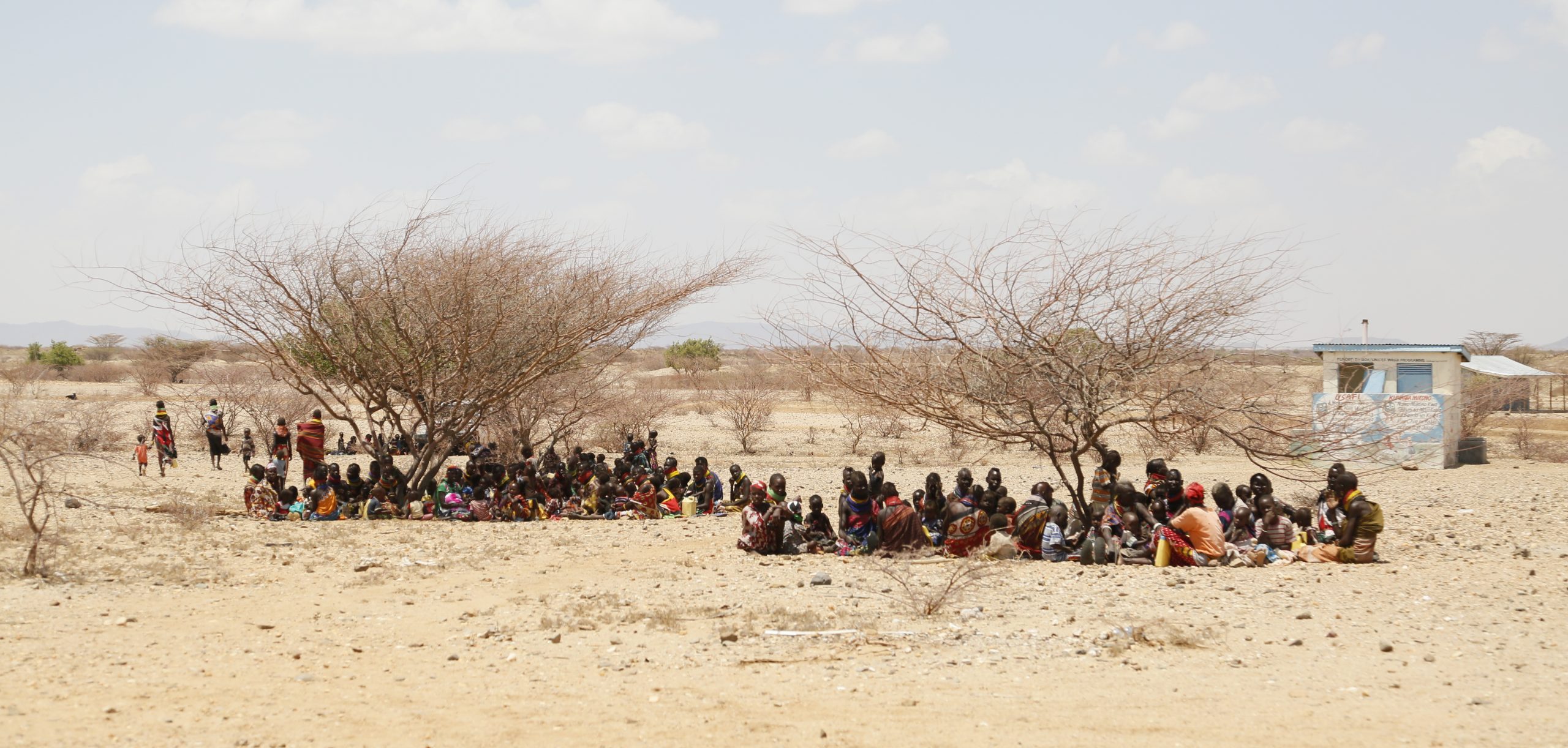 Two bare trees in an arid landscape provide little shelter for two large groups women and children sitting on the group