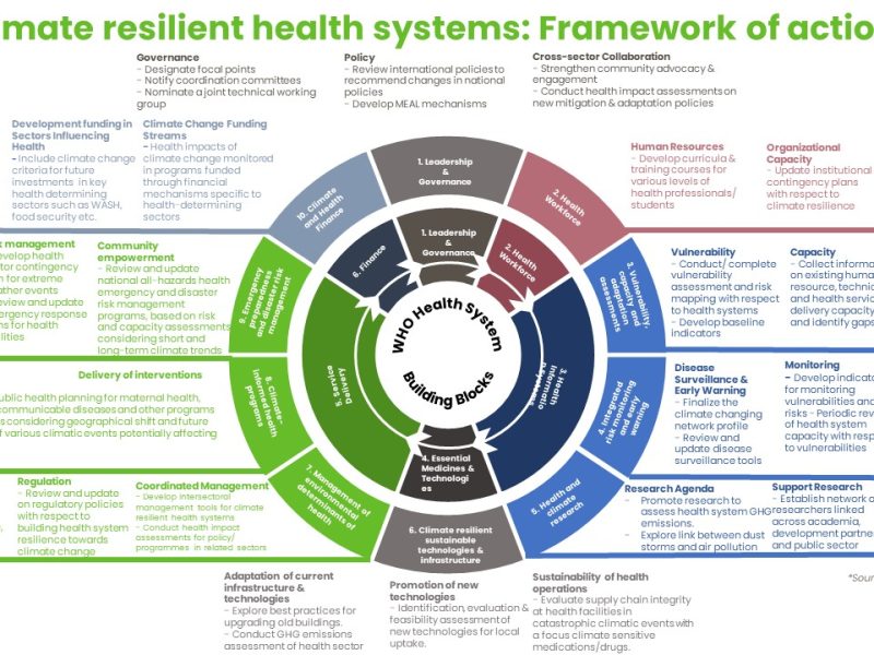 A complex diagram showing WHO health system building blocks and recommendations 0 the full text is available in a Word doc