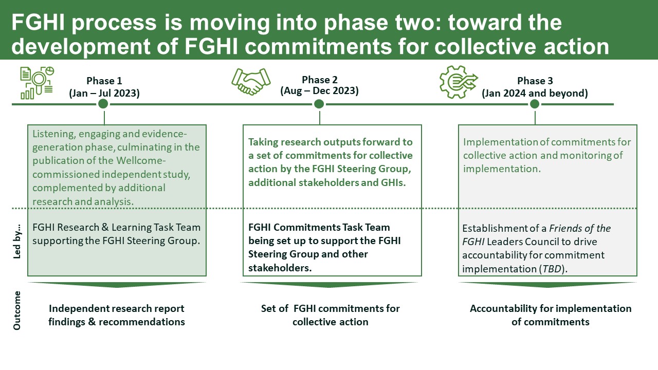 Diagram showing the three phases of the FGHI process