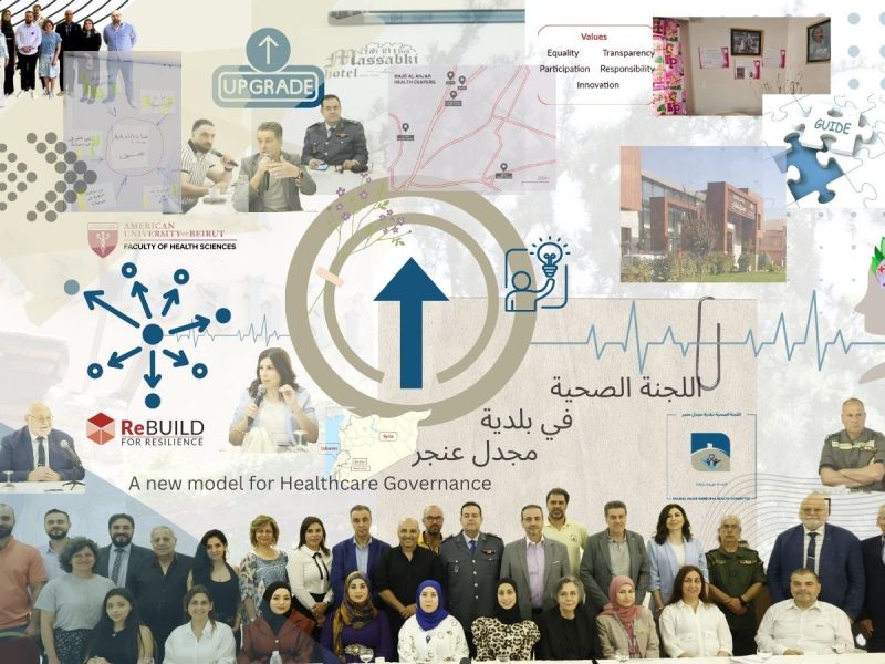 A collage showing the people and process involved in crearing the Majdal Anjar Municipal Health Committee